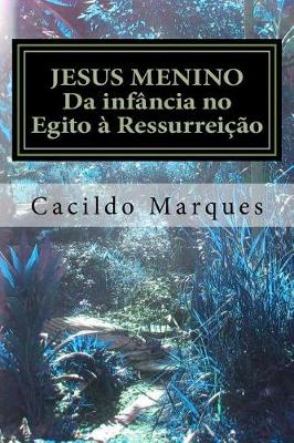 Book cover for Jesus Menino