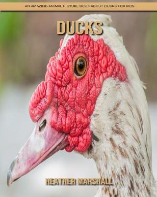 Book cover for Ducks