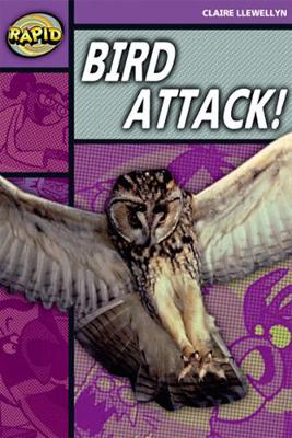 Book cover for Rapid Stage 1 Level B: Bird Attack! Reader Pack of  3 (Series 2)