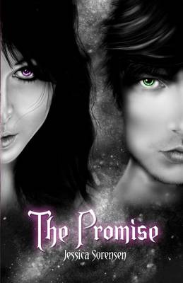 Book cover for The Promise