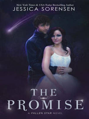 Book cover for The Promise