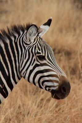 Book cover for Side Profile Of a Wild Zebra in Africa Journal