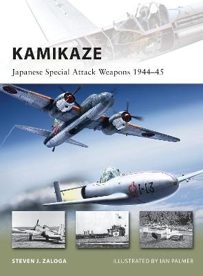 Book cover for Kamikaze