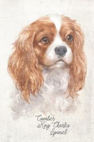 Cover of Cavalier King Charles Spaniel Dog Portrait Notebook