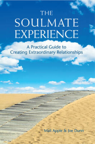 Cover of The Soulmate Experience