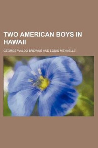 Cover of Two American Boys in Hawaii