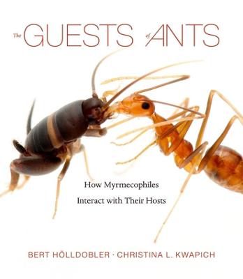 Book cover for The Guests of Ants