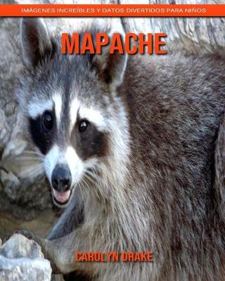 Book cover for Mapache
