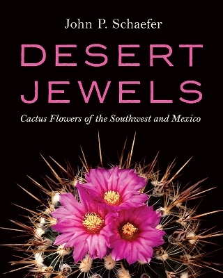 Book cover for Desert Jewels