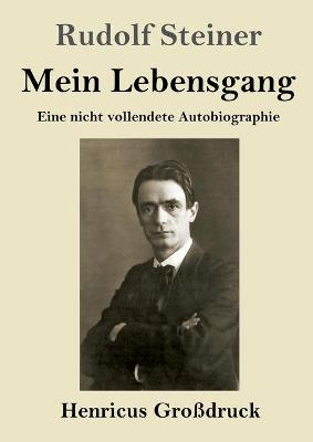 Book cover for Mein Lebensgang (Großdruck)