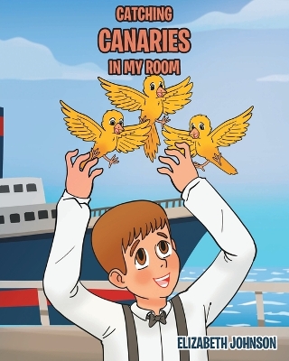 Book cover for Catching Canaries in my Room