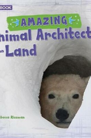 Cover of Amazing Animal Architects Amazing Animal Architects on Land a 4D Book