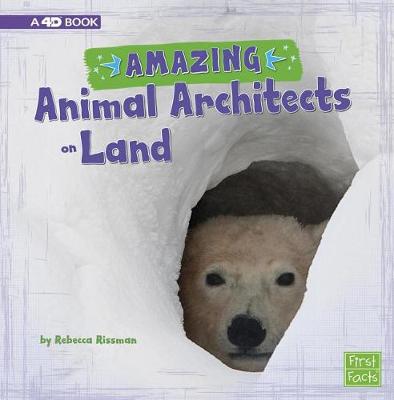 Book cover for Amazing Animal Architects on Land: a 4D Book (Amazing Animal Architects)