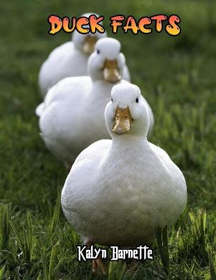 Book cover for Duck Facts