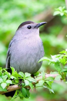 Book cover for Gray Catbird Journal