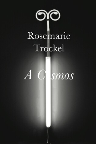 Cover of Rosemarie Trockel