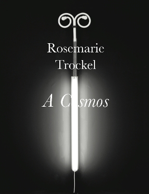 Book cover for Rosemarie Trockel
