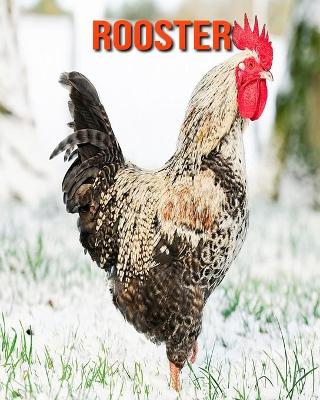 Book cover for Rooster