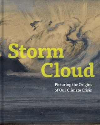 Book cover for Storm Cloud