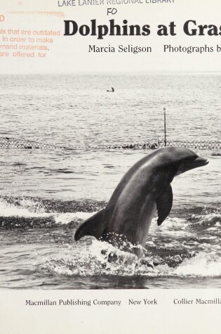 Cover of Dolphins at Grassy Key