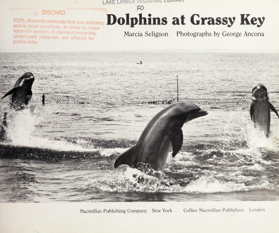 Book cover for Dolphins at Grassy Key