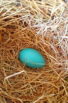 Cover of Journal Single Robin's Egg Bird Nest