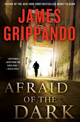 Book cover for Afraid of the Dark
