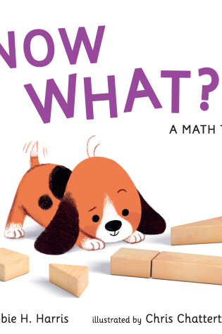 Cover of Now What? A Math Tale