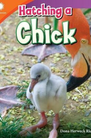 Cover of Hatching a Chick