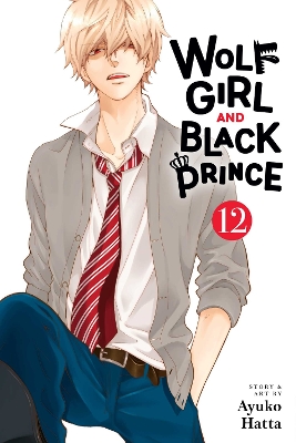 Cover of Wolf Girl and Black Prince, Vol. 12