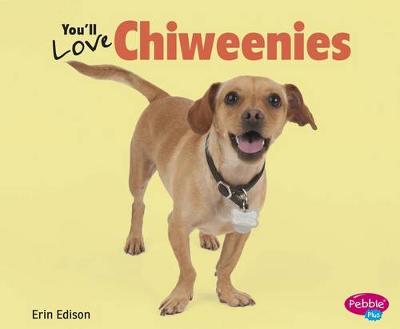 Cover of You'll Love Chiweenies