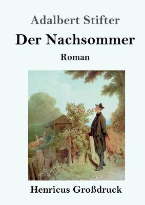Book cover for Der Nachsommer (Großdruck)