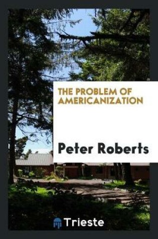 Cover of The Problem of Americanization