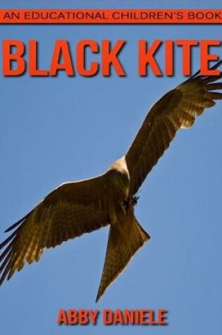 Cover of Black Kite! An Educational Children's Book about Black Kite with Fun Facts & Photos