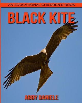 Book cover for Black Kite! An Educational Children's Book about Black Kite with Fun Facts & Photos