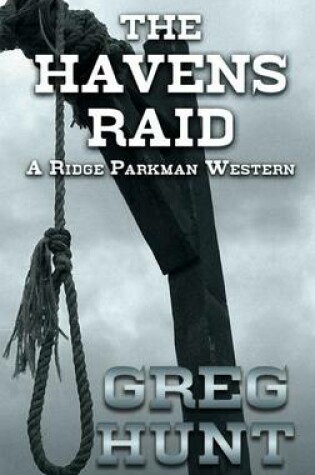 Cover of The Havens Raid