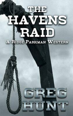 Book cover for The Havens Raid
