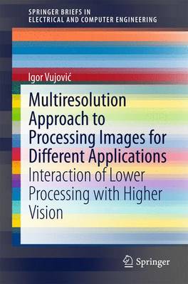 Book cover for Multiresolution Approach to Processing Images for Different Applications