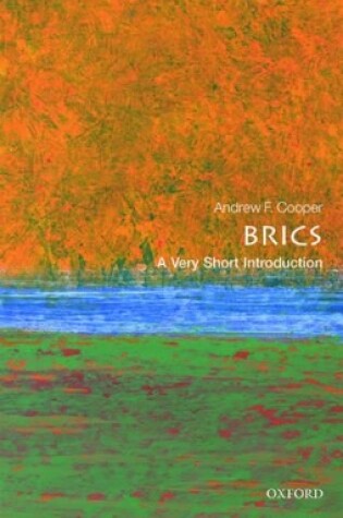 Cover of The BRICS: A Very Short Introduction