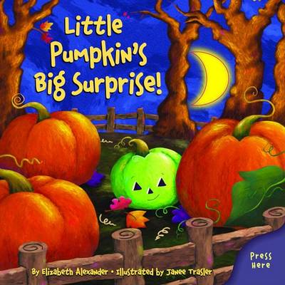 Book cover for Little Pumpkin's Big Surprise!