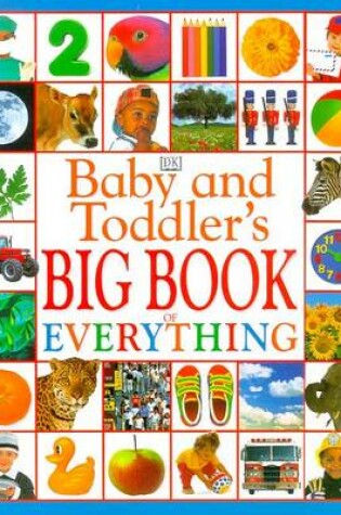 Cover of Baby & Toddler's Big Book of Everything