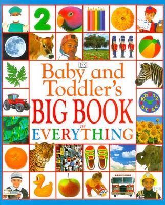 Book cover for Baby & Toddler's Big Book of Everything