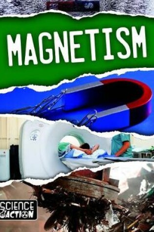 Cover of Magnetism