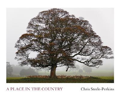 Book cover for A Place In The Country