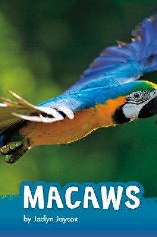 Cover of Macaws