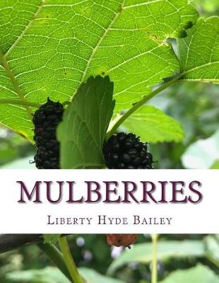 Book cover for Mulberries