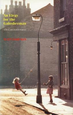 Book cover for An Elegy for the Galosherman