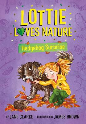 Book cover for Hedgehog Surprise