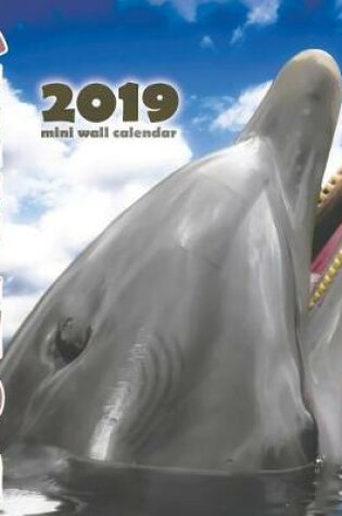 Cover of Dolphins 2019 Mini Wall Calendar