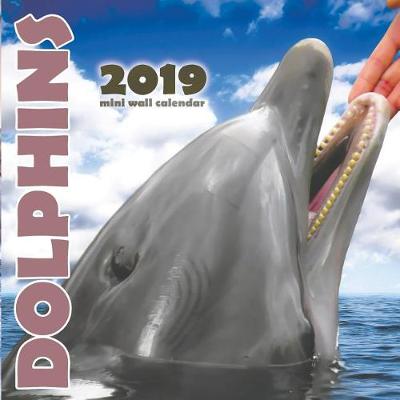 Book cover for Dolphins 2019 Mini Wall Calendar